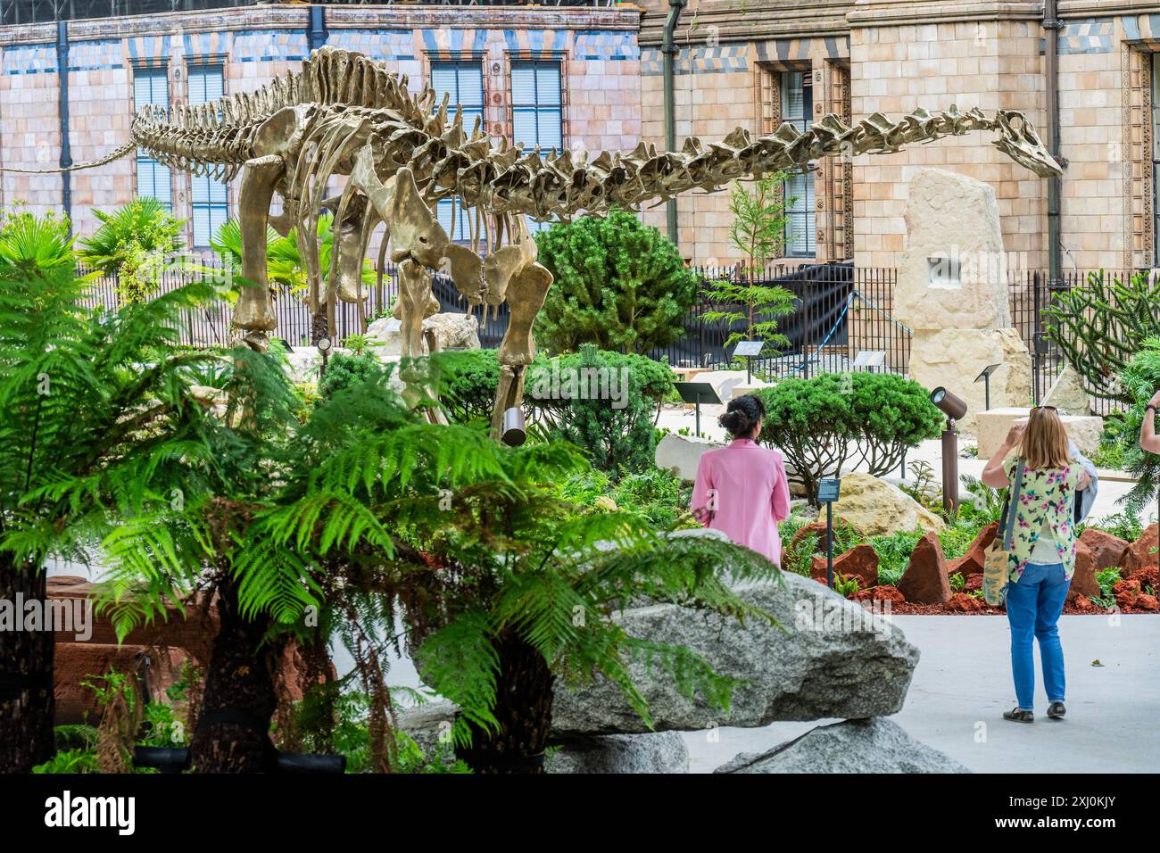 Londres, Royaume-Uni. 16 juillet 2024. Le personnel du musée fait une inspection finale du nouveau moulage en bronze du dinosaure Diplodocus du musée, appelé Fern, avant la fête d'ouverture ce soir - le nouveau jardin Evolution qui ouvre cette semaine au Natural History Museum de Londres. Il fait partie du Urban nature Project et sera un espace librement accessible. Crédit : Guy Bell/Alamy Live News Banque D'Images