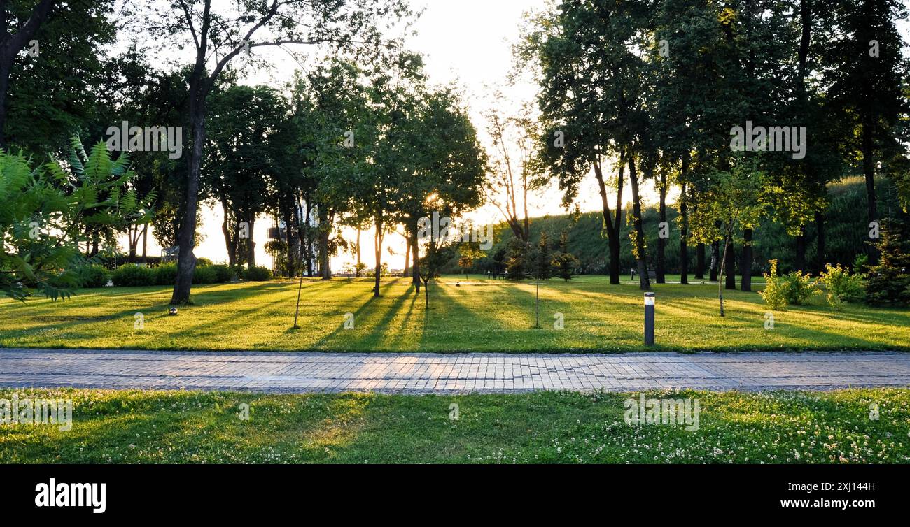 Lever de soleil dans un parc. Les arbres en lumière sur le soleil levant projettent une longue ombre sur une herbe. Banque D'Images