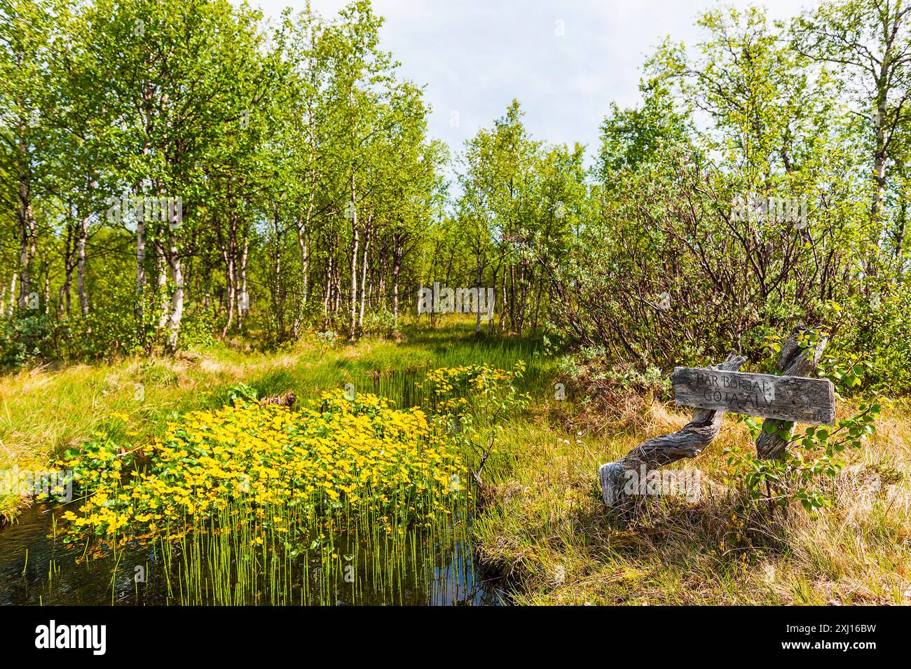 Un panneau en bois altéré, appuyé contre une branche noueuse, marque le début de la rivière Göta Älv, une voie navigable importante en Suède. Le signe est Banque D'Images