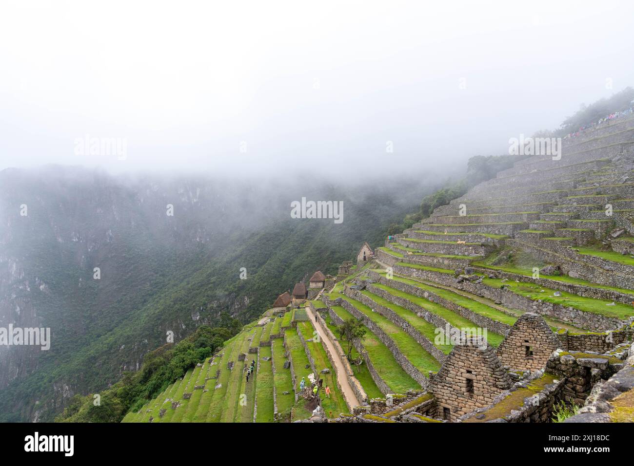 la terrasse aussi cultive des céréales à machu pichu Banque D'Images