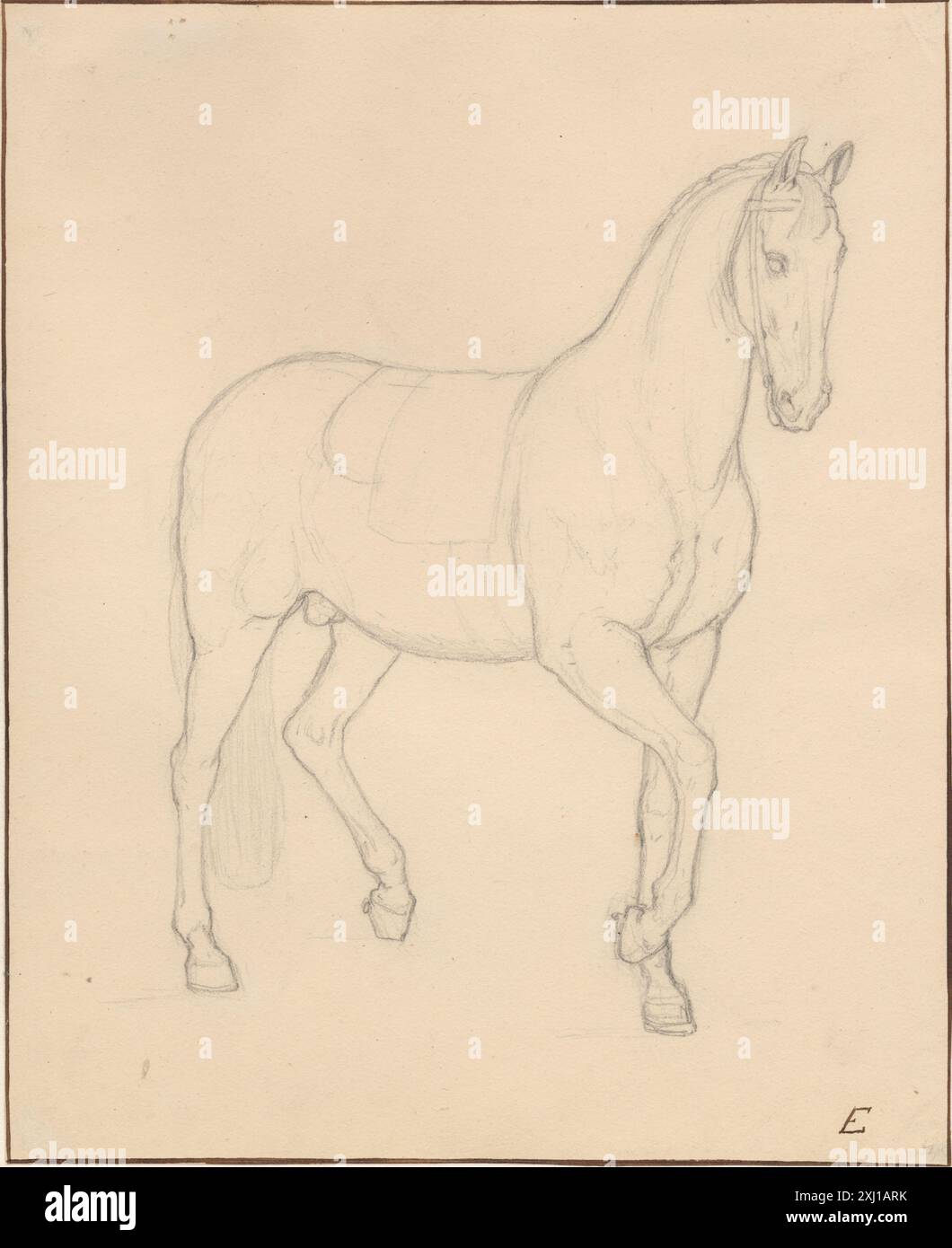 Le dessin de C.W. Eckersberg représente un cheval se déplaçant pas à pas vers la droite, montrant la position des jambes, la posture et les détails anatomiques. Banque D'Images