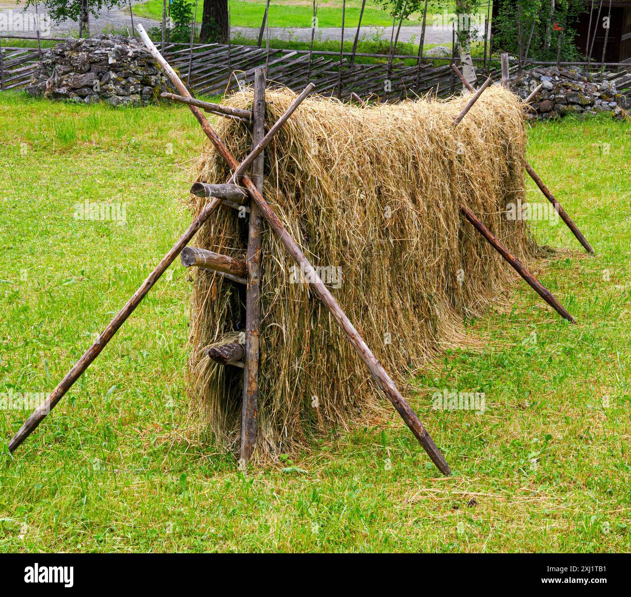 Râtelier de foin norvégien utilisé pour sécher rapidement le foin d'herbe pour l'alimentation d'hiver - dans une ferme du centre de la Norvège Banque D'Images