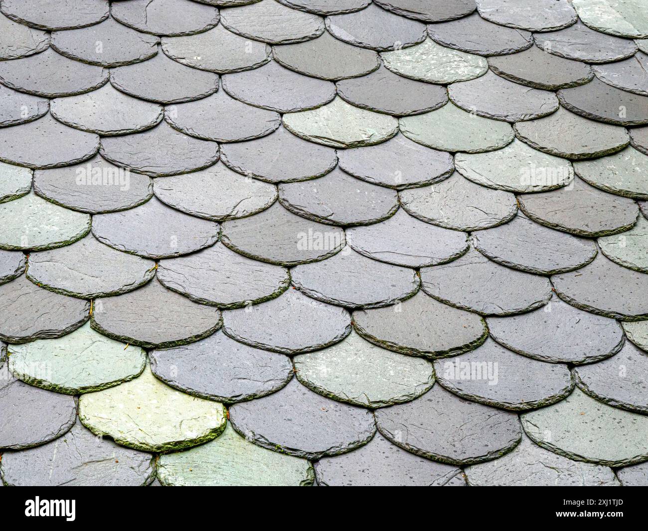 Tuiles attrayantes en ardoise à l'échelle du poisson ou du dragon faites d'ardoises grises et vertes arrondies sur un bâtiment dans le centre de la Norvège Banque D'Images