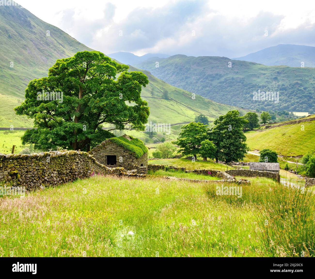 Ancienne grange de champ au-dessus de Brithers Water et Hartsop regardant vers Helvellyn dans le Lake District Cumbria UK Banque D'Images