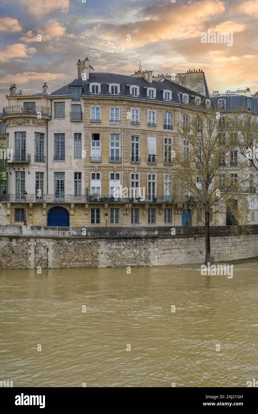 Paris, rive de Seine sous les crues, quai d'Anjou, avec des arbres sous l'eau Banque D'Images Paris, rive de Seine sous les crues, quai d'Anjou, avec des arbres sous l'eau Banque D'Images