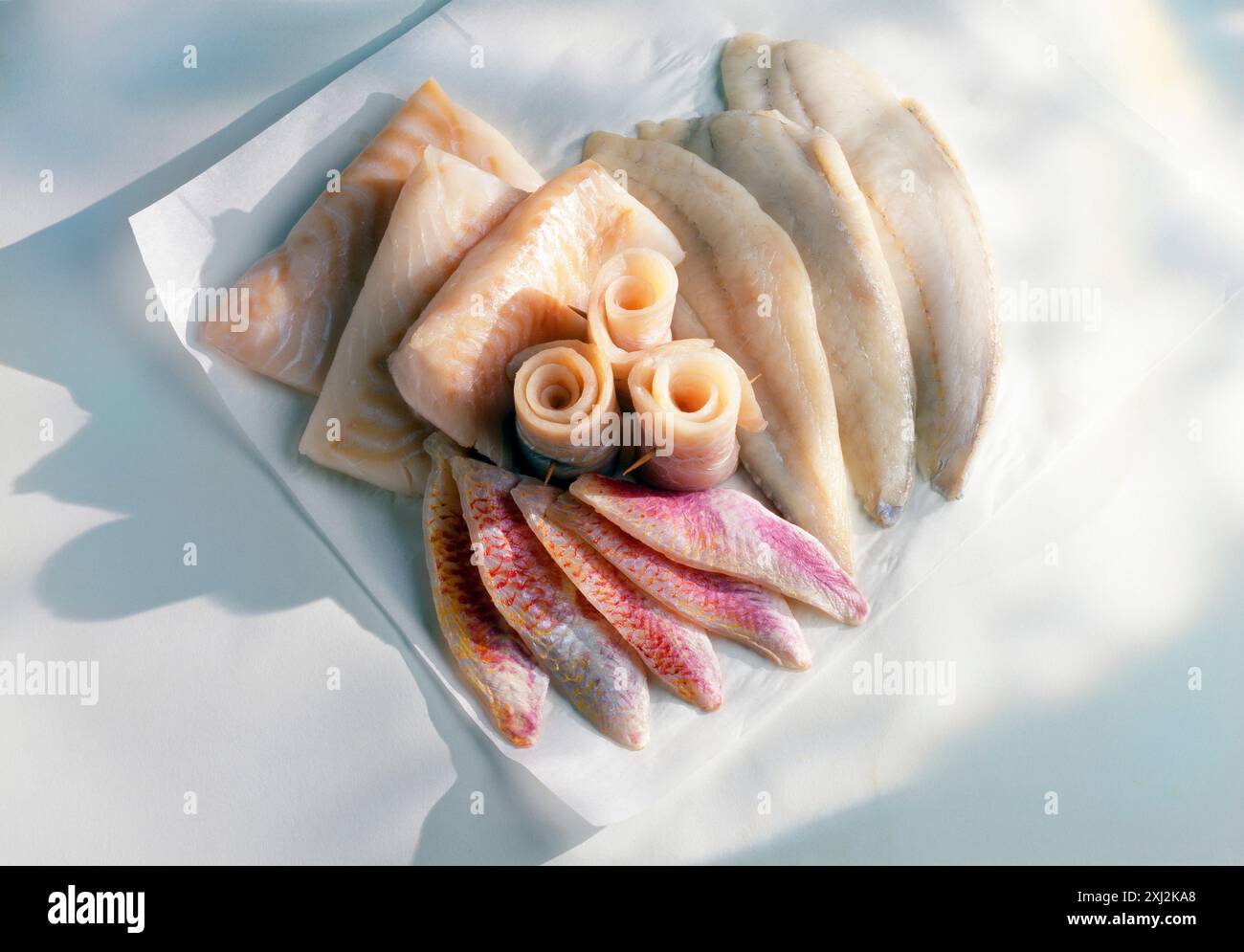 Sélection des matières des filets de poissons Banque D'Images