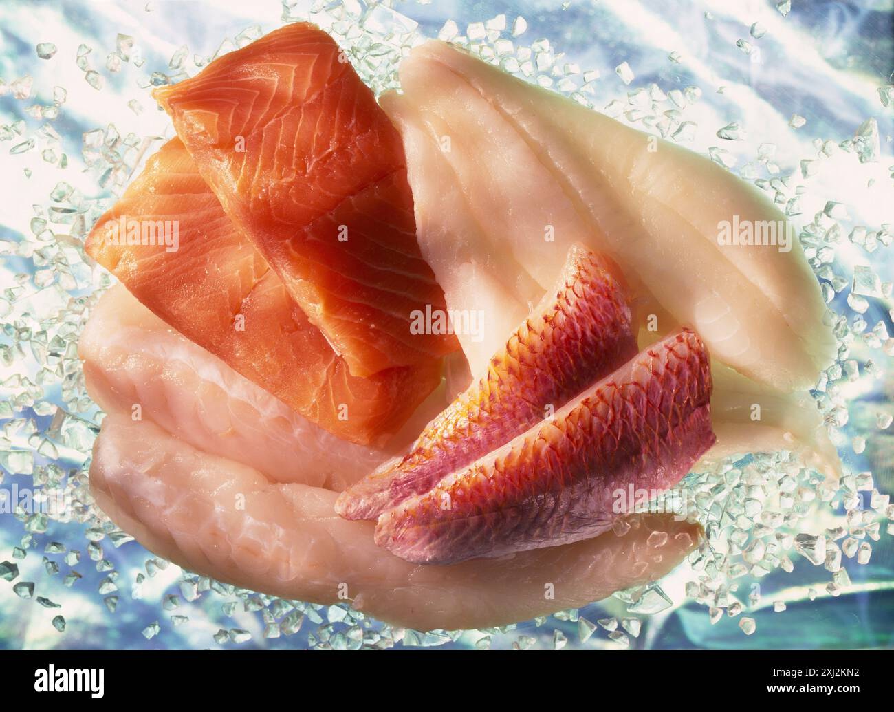 Sélection de poissons:Filet de saumon, lotte, rouget,et empereur Banque D'Images
