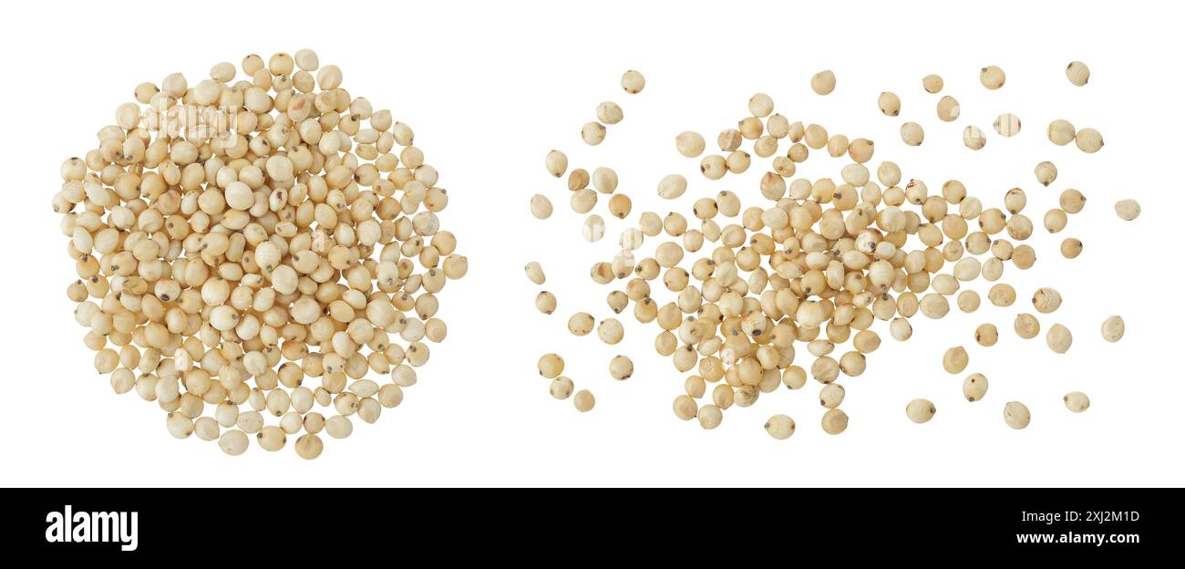 Graines de sorgho isolées sur fond blanc. Vue de dessus. Pose à plat. Banque D'Images