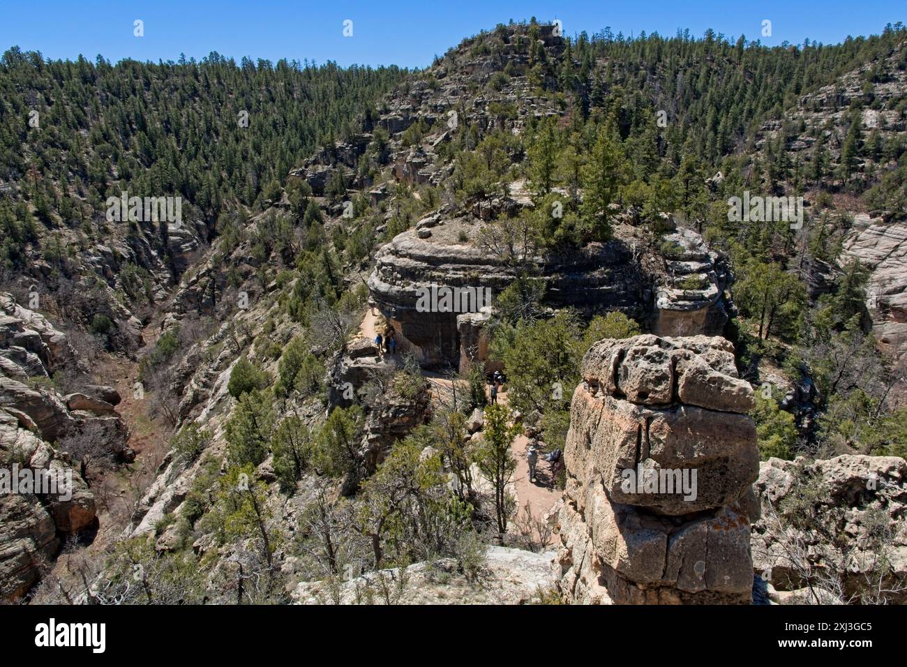Vue d'ensemble de Island Trail qui passe devant des habitations de falaise au Walnut Canyon National Monument Banque D'Images