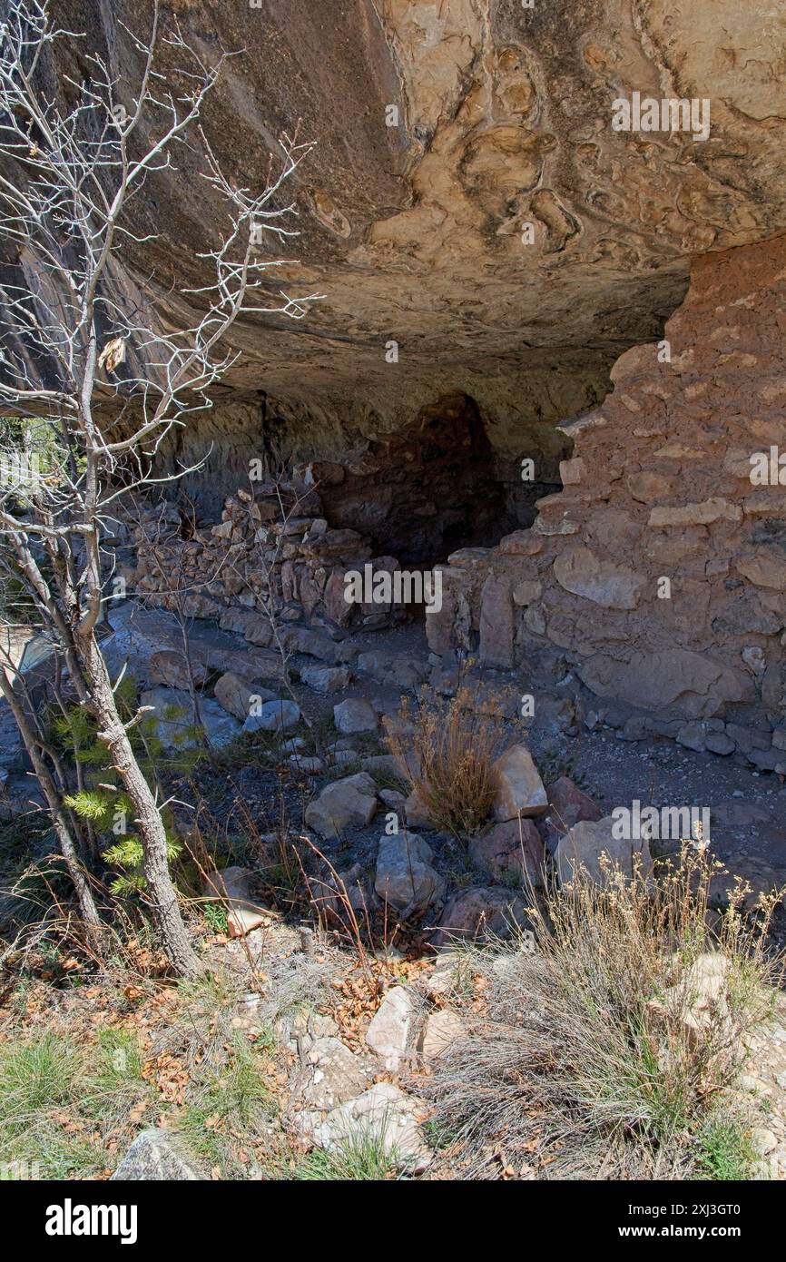Ruines d'une falaise de maçonnerie sous une corniche calcaire dans le Walnut Canyon National Monument Banque D'Images