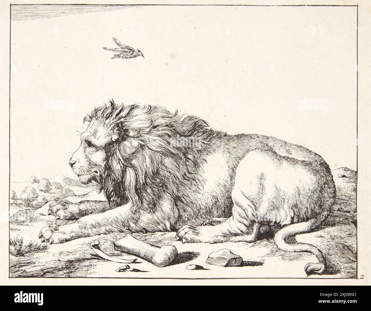 Gravure de Marcus de Bye représentant un lion couché, partie de gravures et gravures hollandaises et flamandes de 1450 à 1700. Banque D'Images