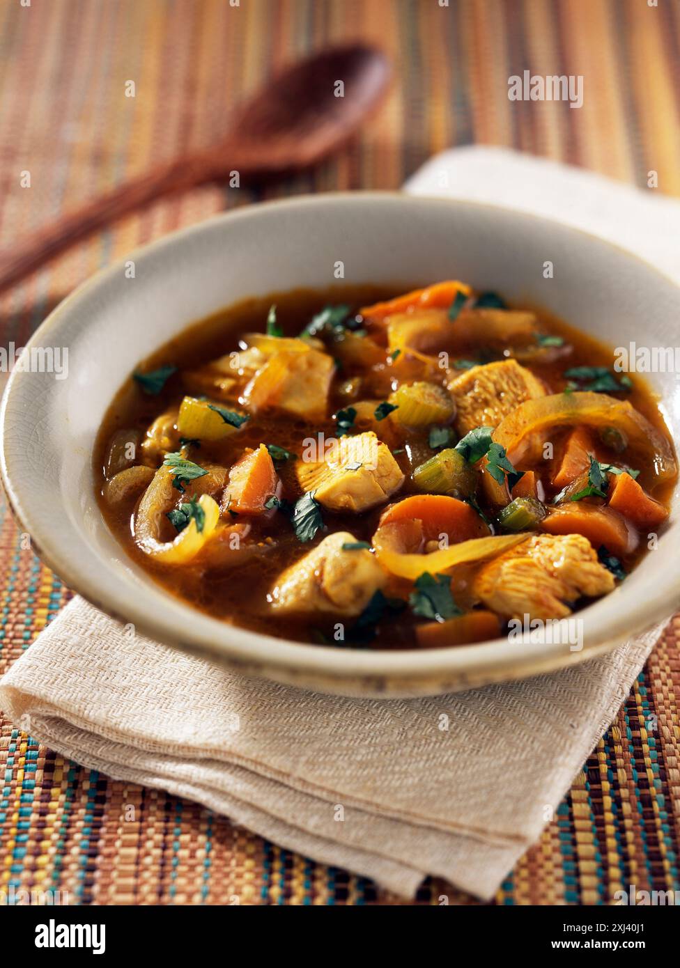 Soupe de poulet de style indien Banque D'Images