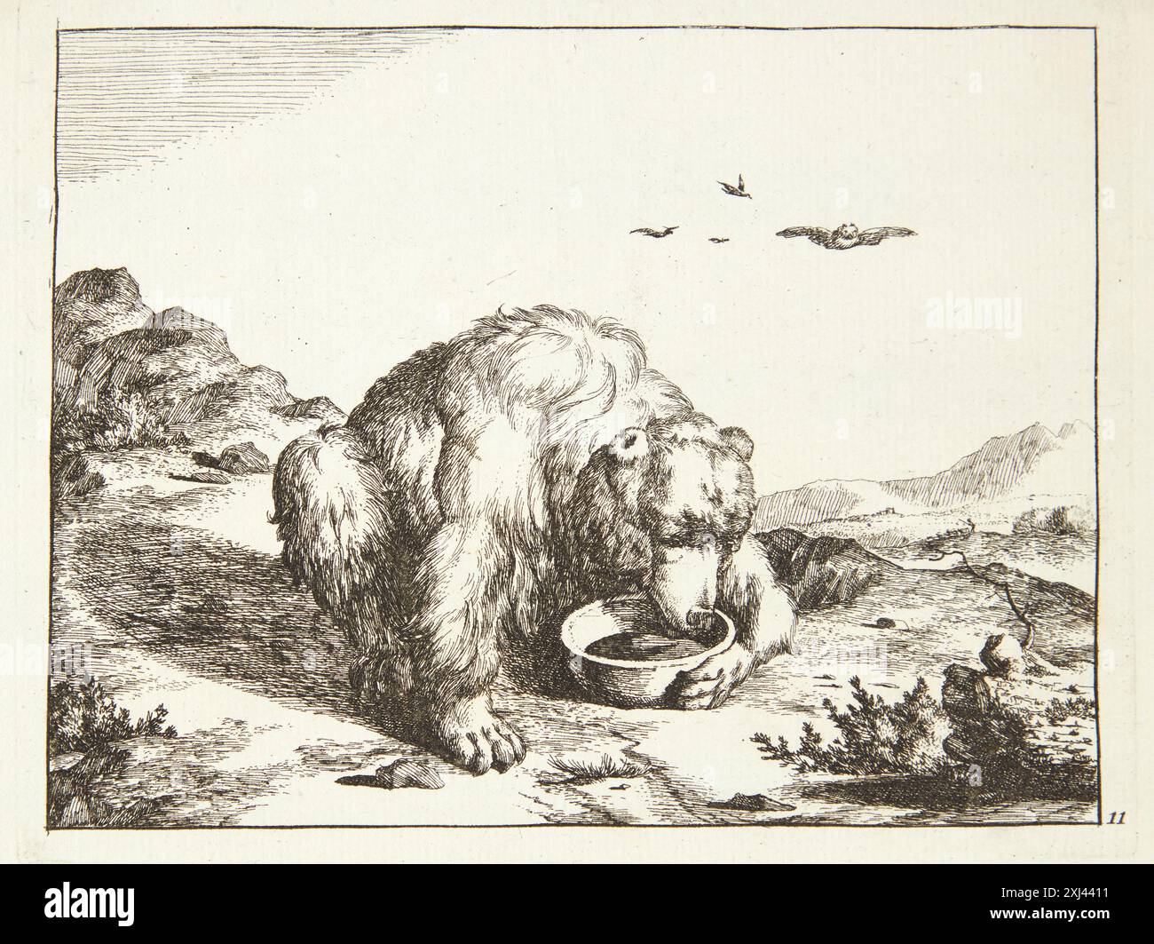 Gravure de Marcus de Bye représentant un ours buvant, créée entre 1639 et 1690 dans la tradition hollandaise et flamande de l'estampe. Banque D'Images