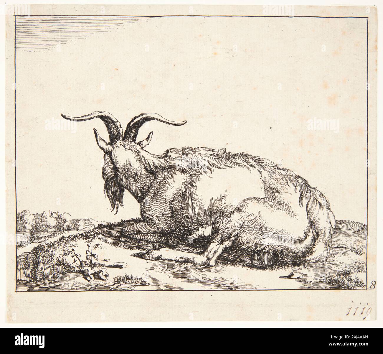 Gravure de Marcus de Bye représentant une chèvre couchée, partie de gravures et gravures hollandaises et flamandes de 1450 à 1700. Banque D'Images