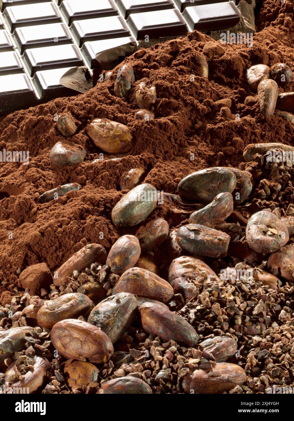 La composition avec le cacao Banque D'Images