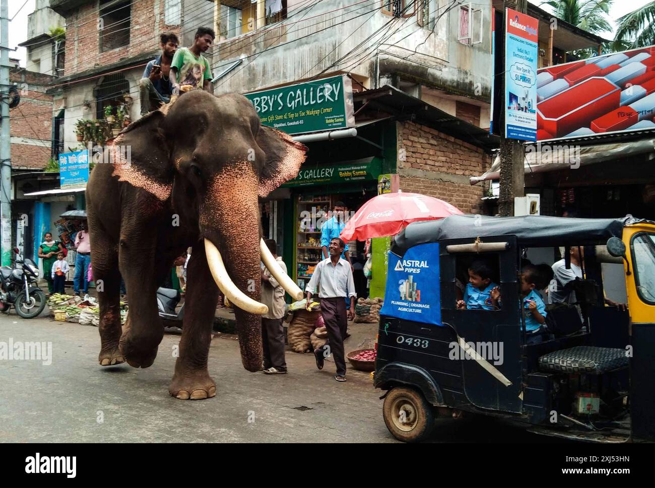 Un éléphant marchant dans la rue de la ville de Guwahati dans l'Assam, en Inde, alors que les écoliers sourient à la veille de Ganesh Chaturthi le mercredi 12 septembre Banque D'Images