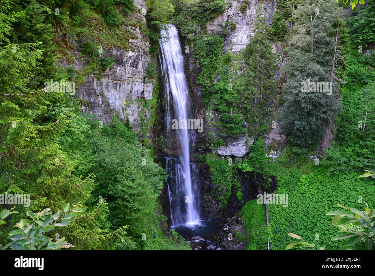 Maral Waterfall, situé à Borcka, Artvin, Turquie, est l'une des plus hautes cascades du pays avec une hauteur de 63 mètres. Banque D'Images