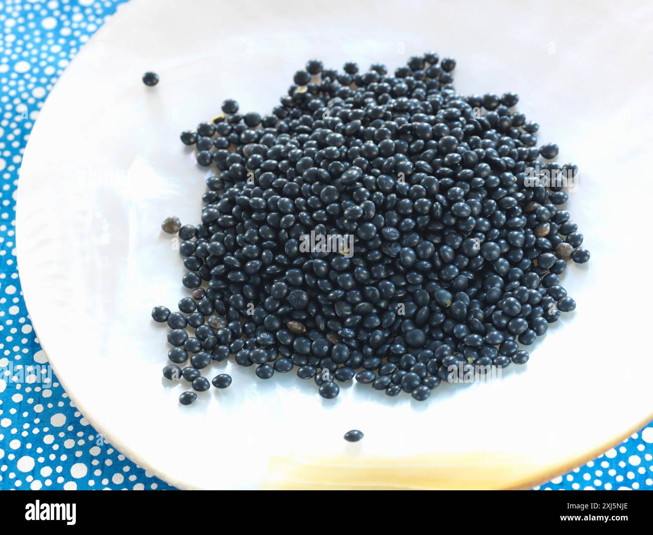 Lentilles Beluga Banque D'Images