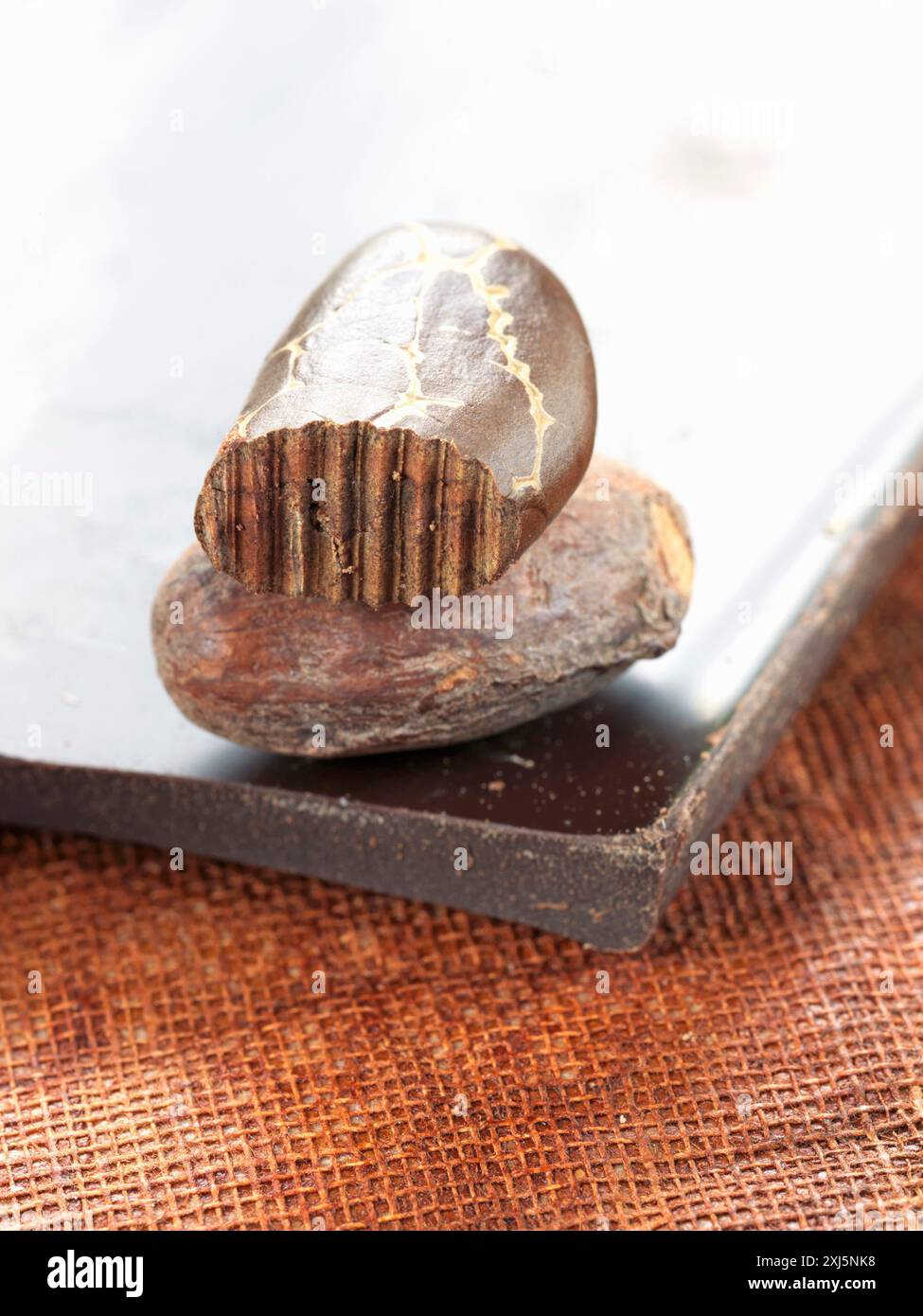 Fèves de cacao et chocolat noir Banque D'Images