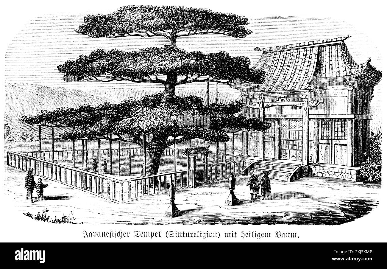 Temple japonais avec arbre sacré, religion shinto, Japon, illustration historique 1880 Banque D'Images