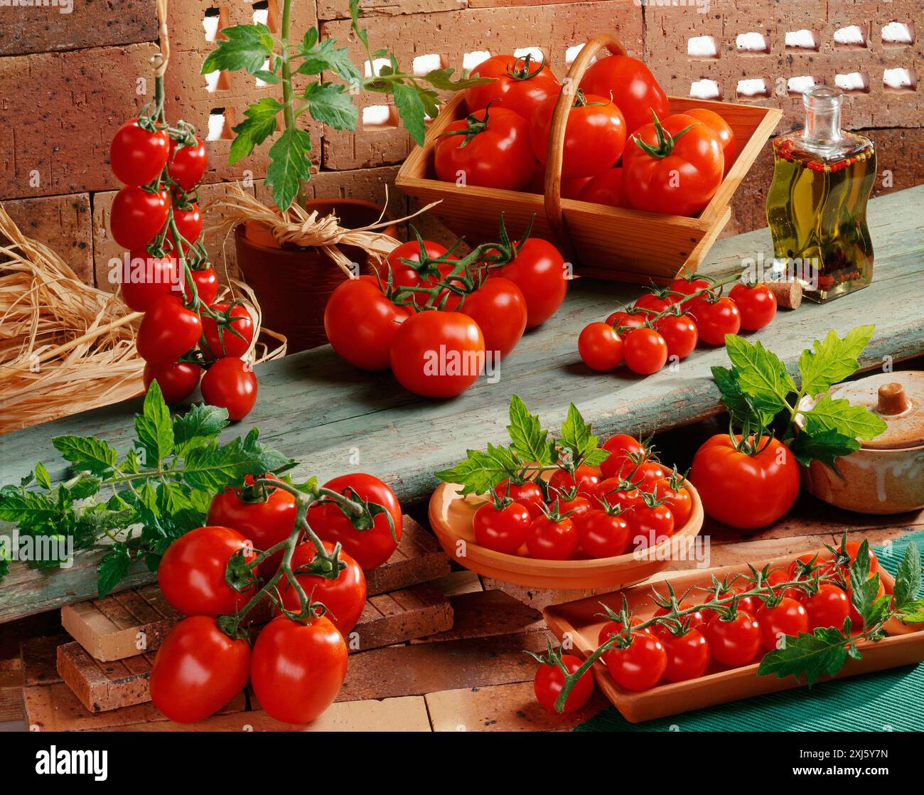 Variété de tomates Banque D'Images