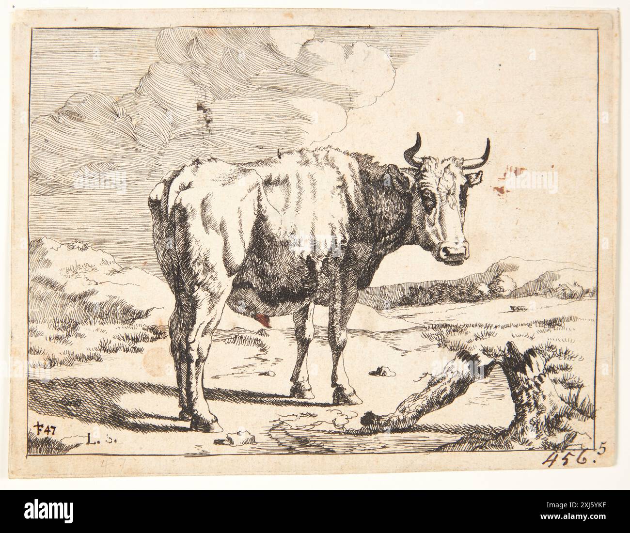 Gravure de Marcus de Bye représentant un cheval à haras debout, partie de gravures et gravures hollandaises et flamandes de 1450 à 1700. Banque D'Images