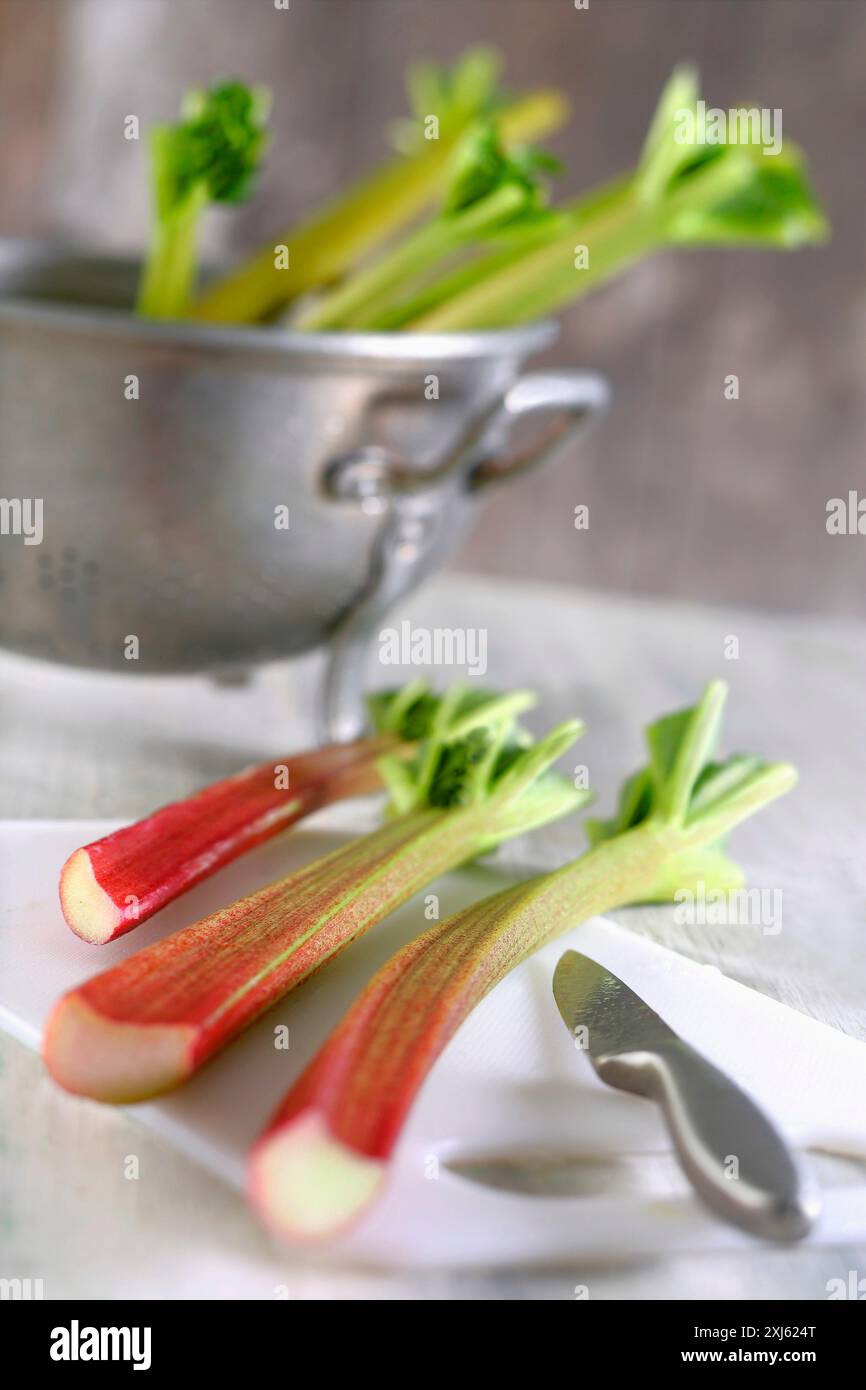 Rhubarbe Banque D'Images