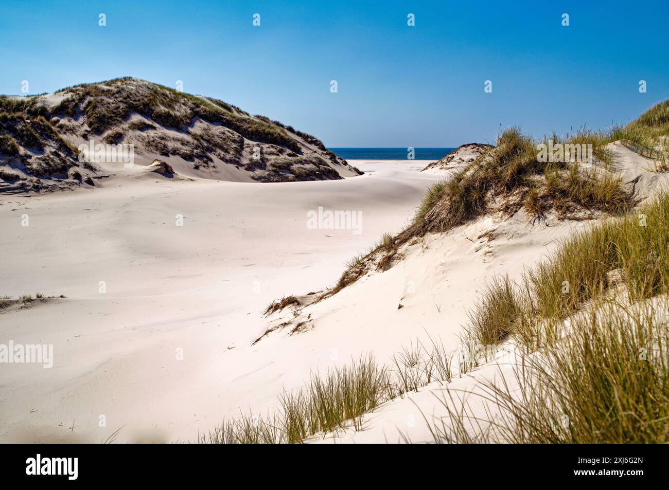 Dunes de sable blanc sur la plage, Amrum, Frise du Nord, Îles de Frise du Nord, Frise du Nord, Schleswig-Holstein, Allemagne Banque D'Images