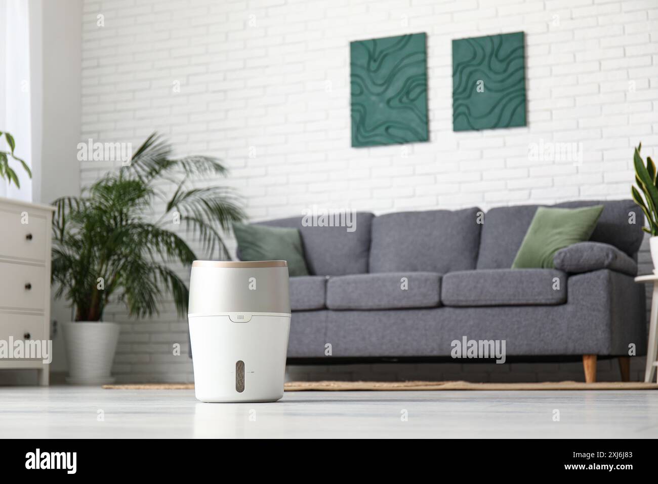 Canapé noir, commode et humidificateur moderne à l'étage dans le salon Banque D'Images