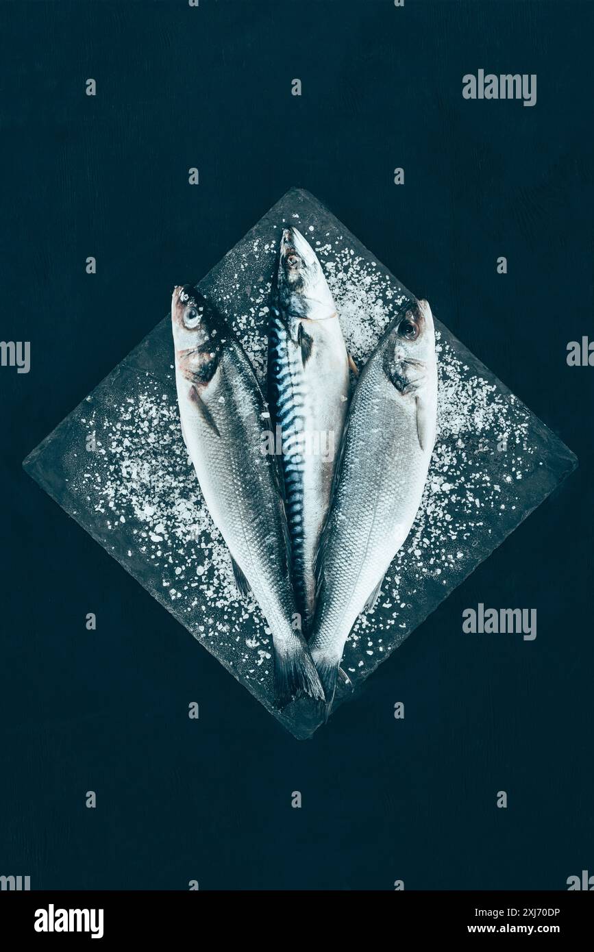 Vue de dessus de matières premières fraîches et de bar maquereau sur ardoise board isolated on black Banque D'Images