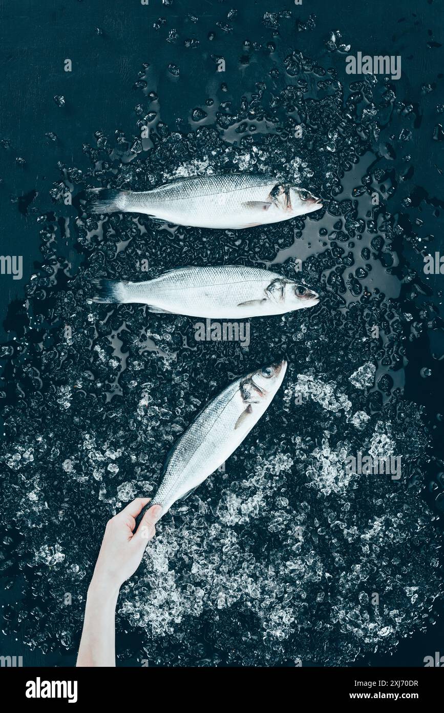 Vue du dessus de la main de l'homme et des fruits de mer Poissons basse avec de la glace sur noir Banque D'Images