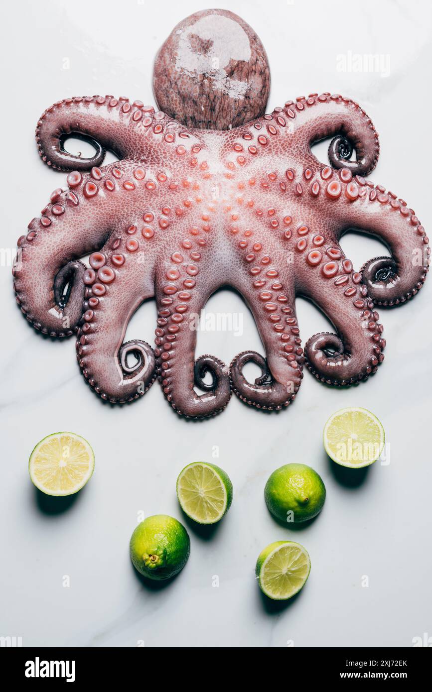 Vue de dessus du grand poulpe et des limes sur surface en marbre clair Banque D'Images