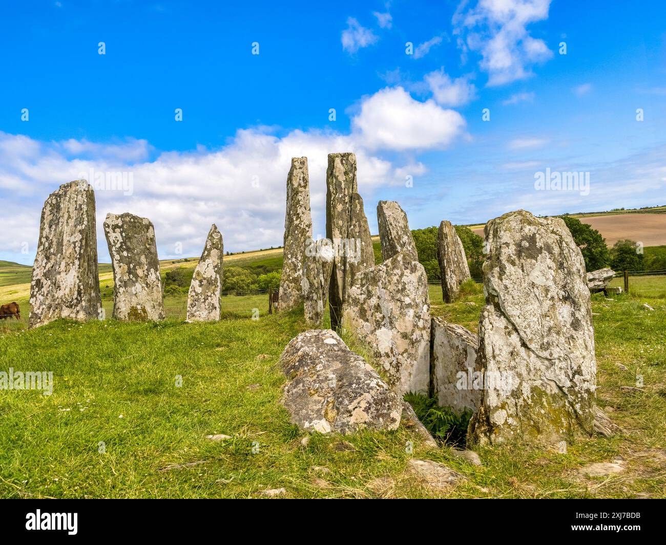 Cairn Holy 1, Dumfries et Galloway, en Écosse, l'une des deux chambres funéraires néolithiques construites il y a environ 6000 ans. Fouillé en 1949 par Stuart Piggott A. Banque D'Images