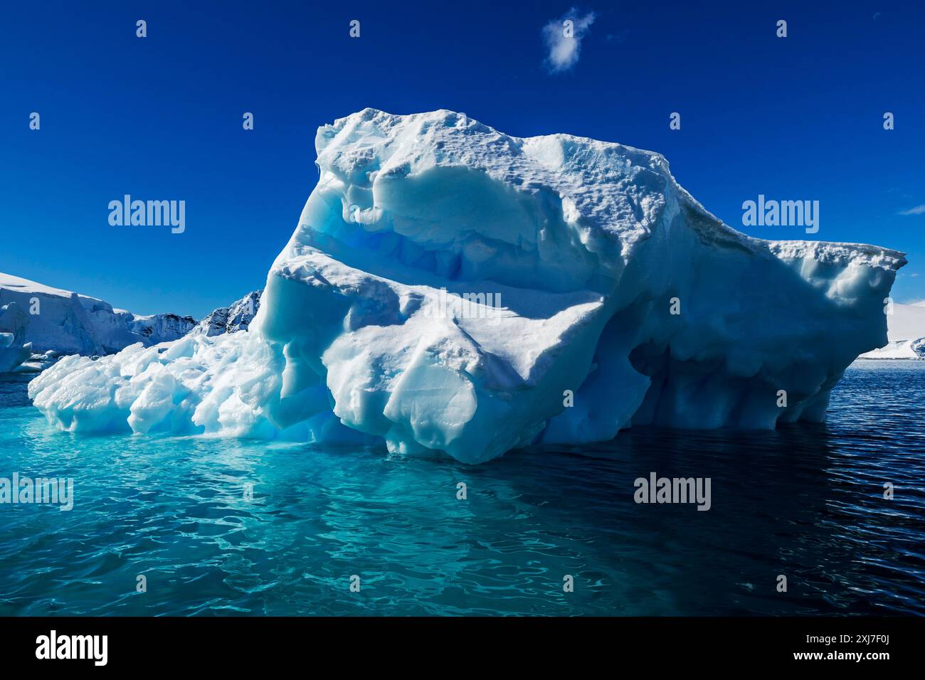 Alvaro Cove, Antarctique, lundi 20 novembre 2023. Photo : David Rowland / One-Image.com Banque D'Images