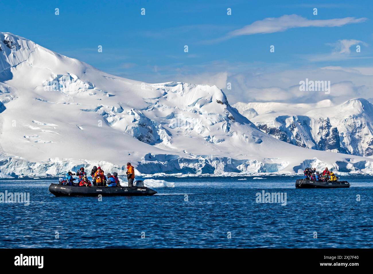 Alvaro Cove, Antarctique, lundi 20 novembre 2023. Photo : David Rowland / One-Image.com Banque D'Images