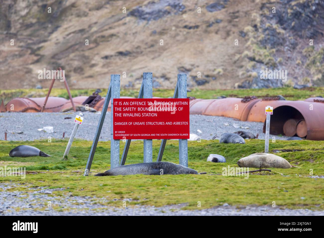 Station baleinière abandonnée, Stromness, Géorgie du Sud, mercredi 29 novembre, 2023. photo : David Rowland / One-Image.com Banque D'Images