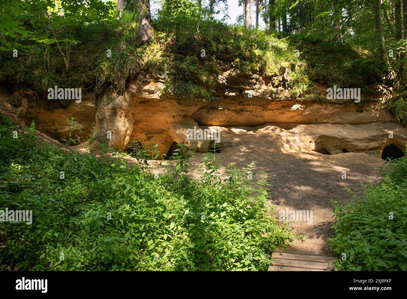 Grotte de Liepniekvalka, labyrinthe de Peldanga, labirints de Peldangas en 2024. Les plus longs labyrinthes de grottes de Lettonie. Banque D'Images