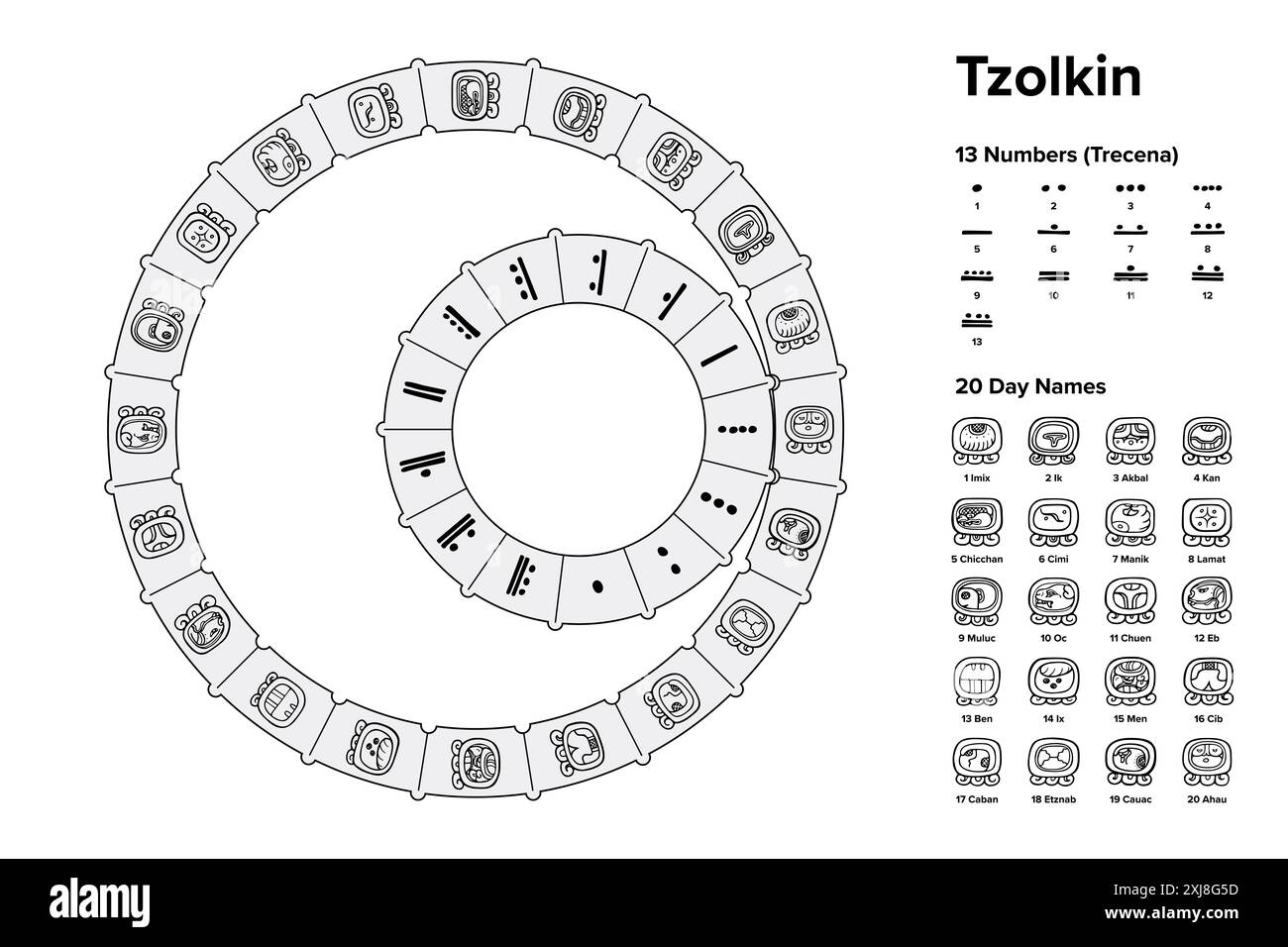 Tzolkin, un calendrier méso-américain de 260 jours utilisé par la civilisation maya de la Méso-Amérique précolombienne. Engrenage avec 13 numéros tournant un engrenage avec 20 noms de jour. Banque D'Images