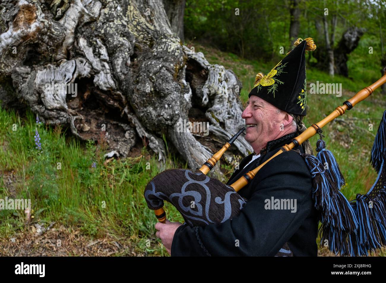 Un Gaiteiro traditionnel de Galice, vêtu d'une tenue classique avec un gilet, une chemise blanche, un pantalon long genou et un chapeau à larges bords, joue de la gaita, la cornemuse emblématique de la région. Ce musicien incarne le riche patrimoine culturel et les traditions musicales de la Galice, apportant des mélodies vibrantes à l'atmosphère festive des célébrations locales Banque D'Images