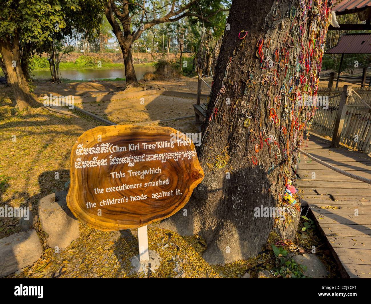 L'arbre tueur, dédié à ceux qui ont été tués pendant le conflit Khmer Rouge à Choueng Ek, Phnom Pehn, Cambodge, Indochine, Asie du Sud-est, Asia Copyr Banque D'Images