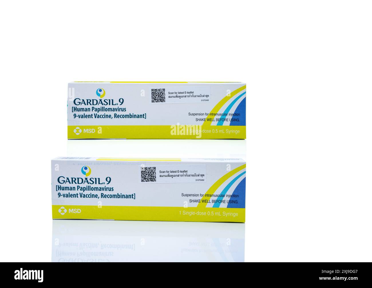 CHONBURI, THAÏLANDE - 14 JUIN 2024 : vaccin contre le VPH Gardasil 9. Prévention du virus du papillome humain, vaccin recombinant 9-valent dans un emballage en carton Banque D'Images