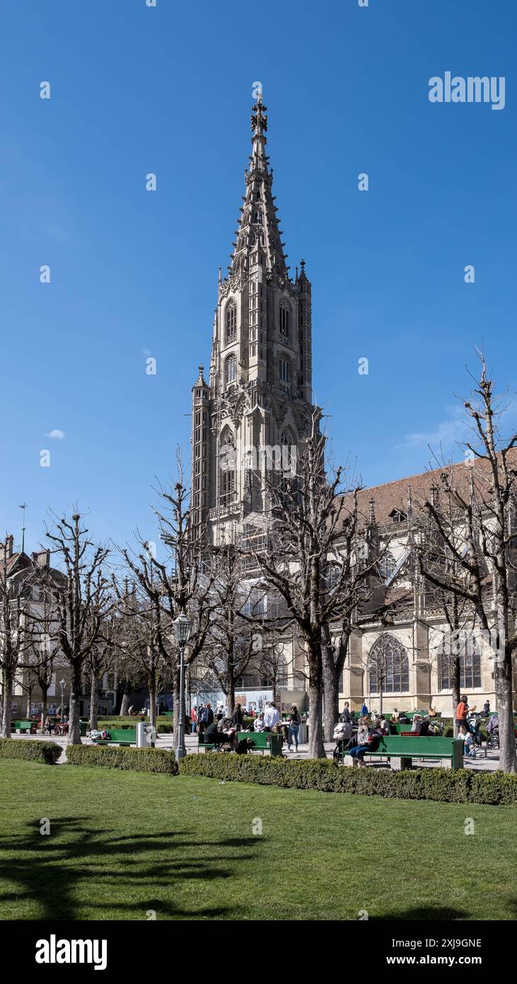 Vue de Berne Minster, une cathédrale suisse réformée, construite dans le style gothique, la plus haute cathédrale de Suisse, vieille ville, site classé au patrimoine mondial de l'UNESCO Banque D'Images