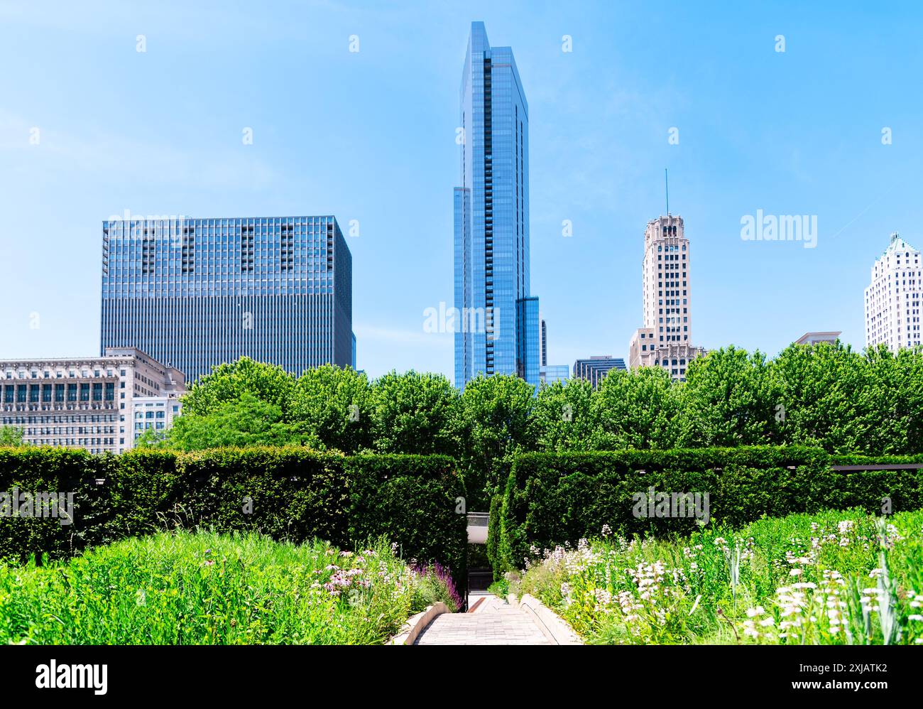 Vue sur Chicago depuis Lurie Garden dans Millennium Park Banque D'Images