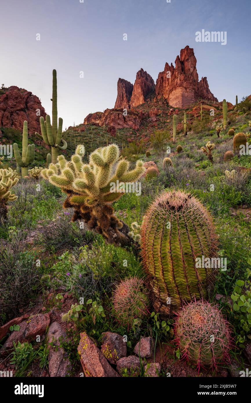 Trois Sœurs, Superstition Mountains Arizona Banque D'Images