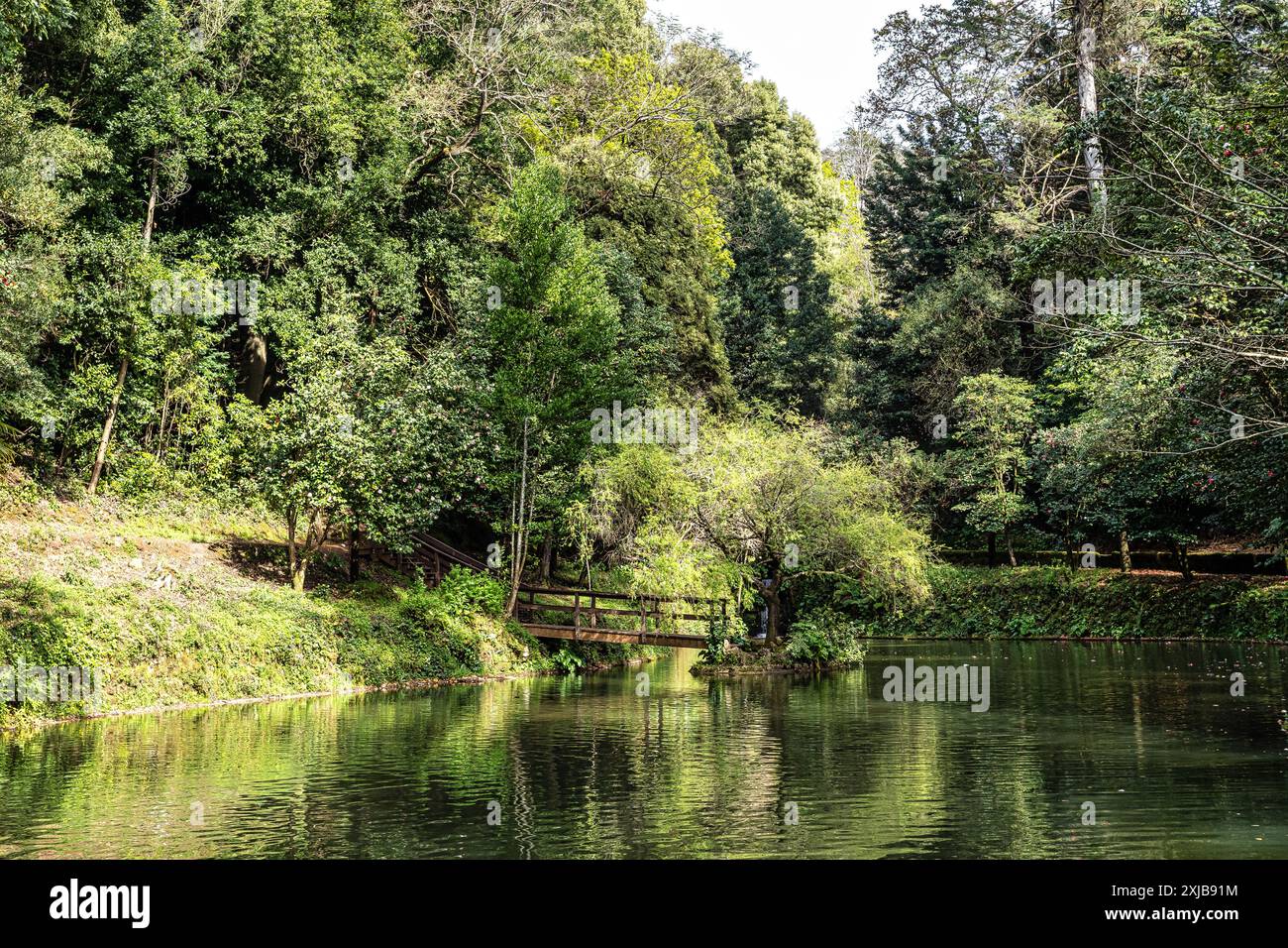 Big Lake, grande lago dans l'ancienne forêt de Bussaco National Forest, à Luso, Aveiro au Portugal, Europe Banque D'Images