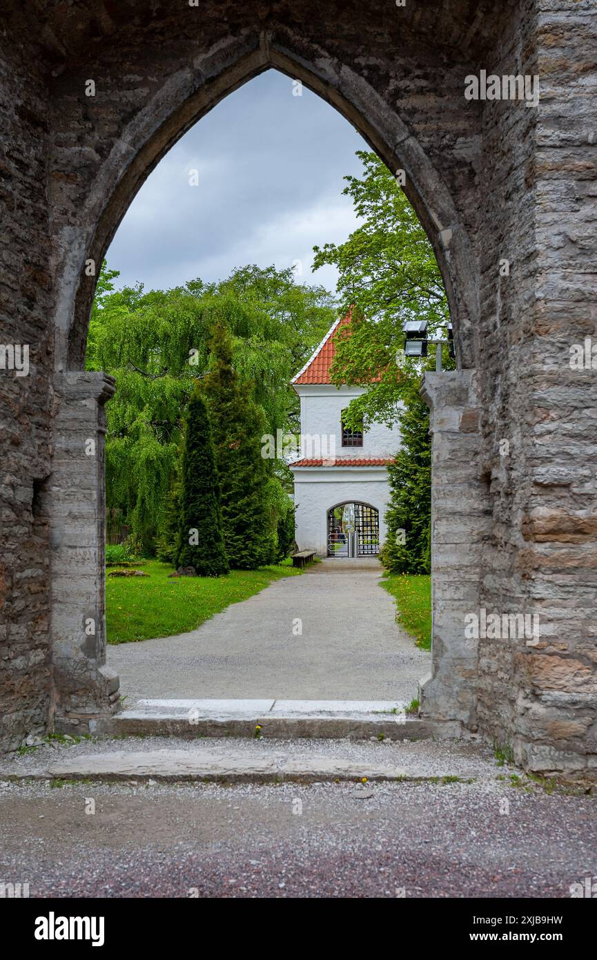 Vue de l'entrée des ruines par l'arc de l'église principale. Monastère de Brigitta à Pirita, Tallinn, Estonie. Banque D'Images