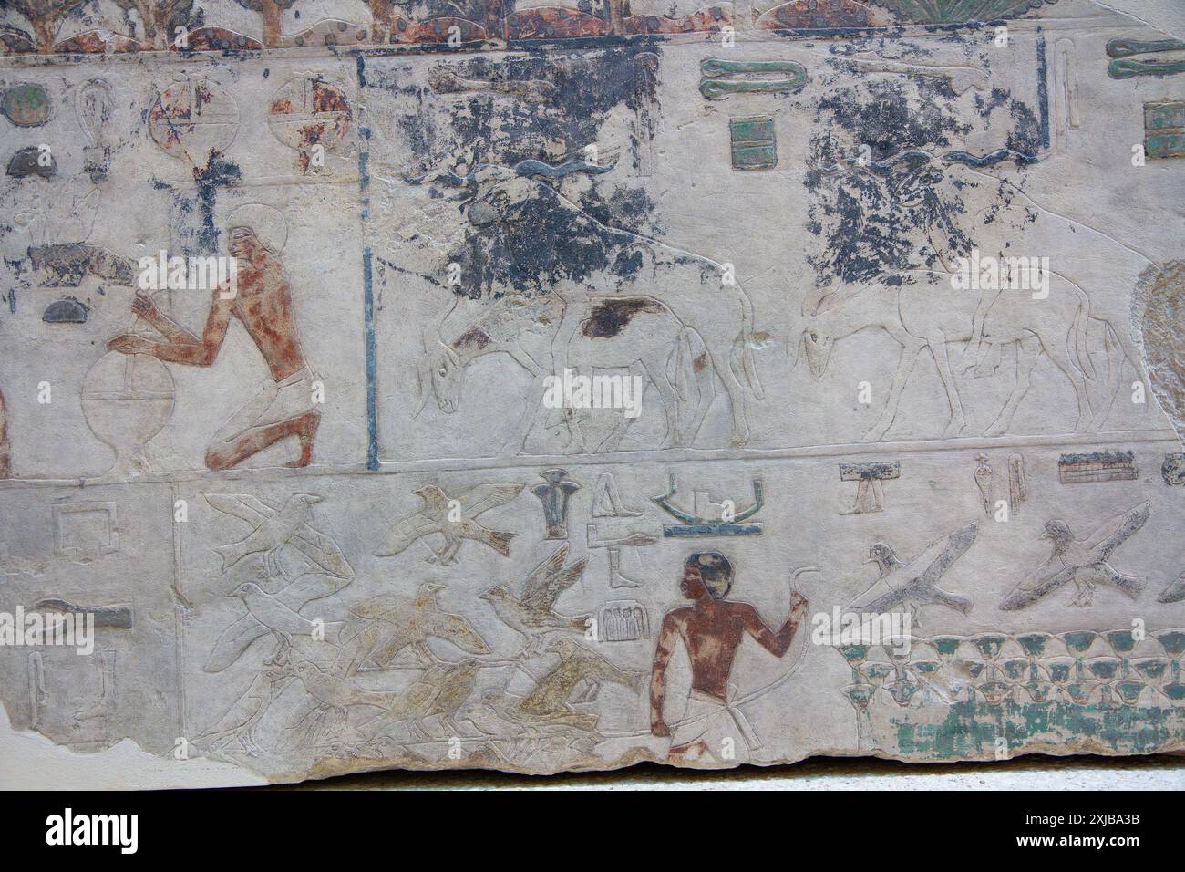 Relief des fragments de paroi des antilopes et des oiseaux. Originaire du Temple du Soleil de Nyuserre INI. Musée égyptien. Berlin, Allemagne. Banque D'Images