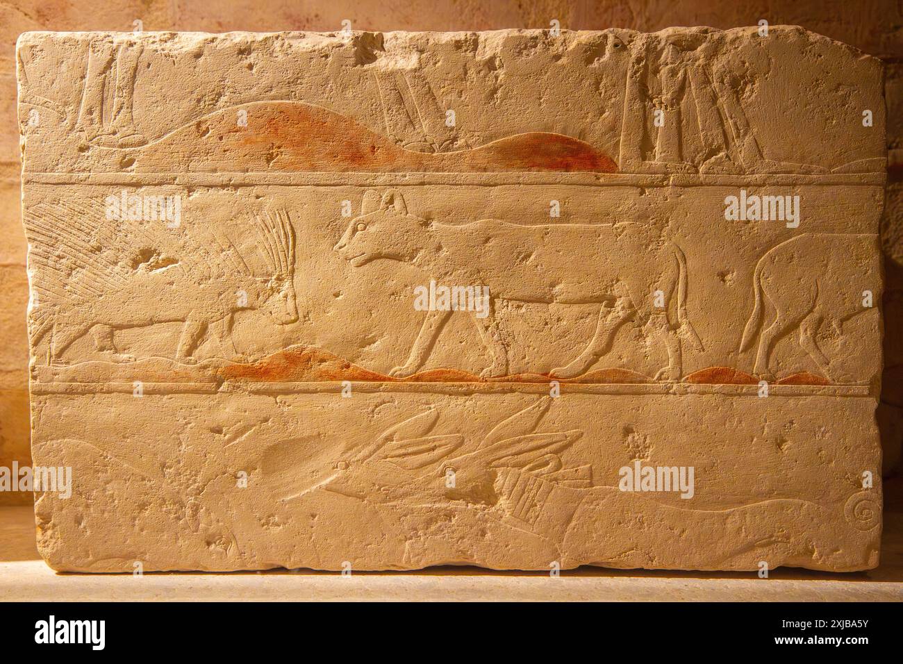 Fragment de relief : animaux du désert, porc-épic, chacal et panthère. Tombe de Pehenuka.5e dynastie. Old Kingdom. Musée égyptien. Berlin, Allemagne. Banque D'Images
