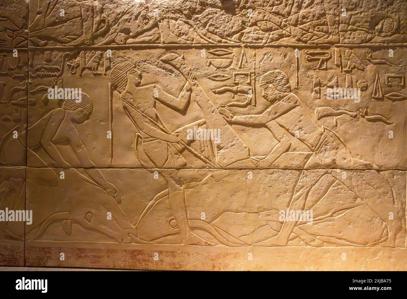 Relief calcaire d'une tombe avec scène d'abattage de bétail. 5e dynastie. Old Kingdom. Musée égyptien. Berlin, Allemagne. Banque D'Images