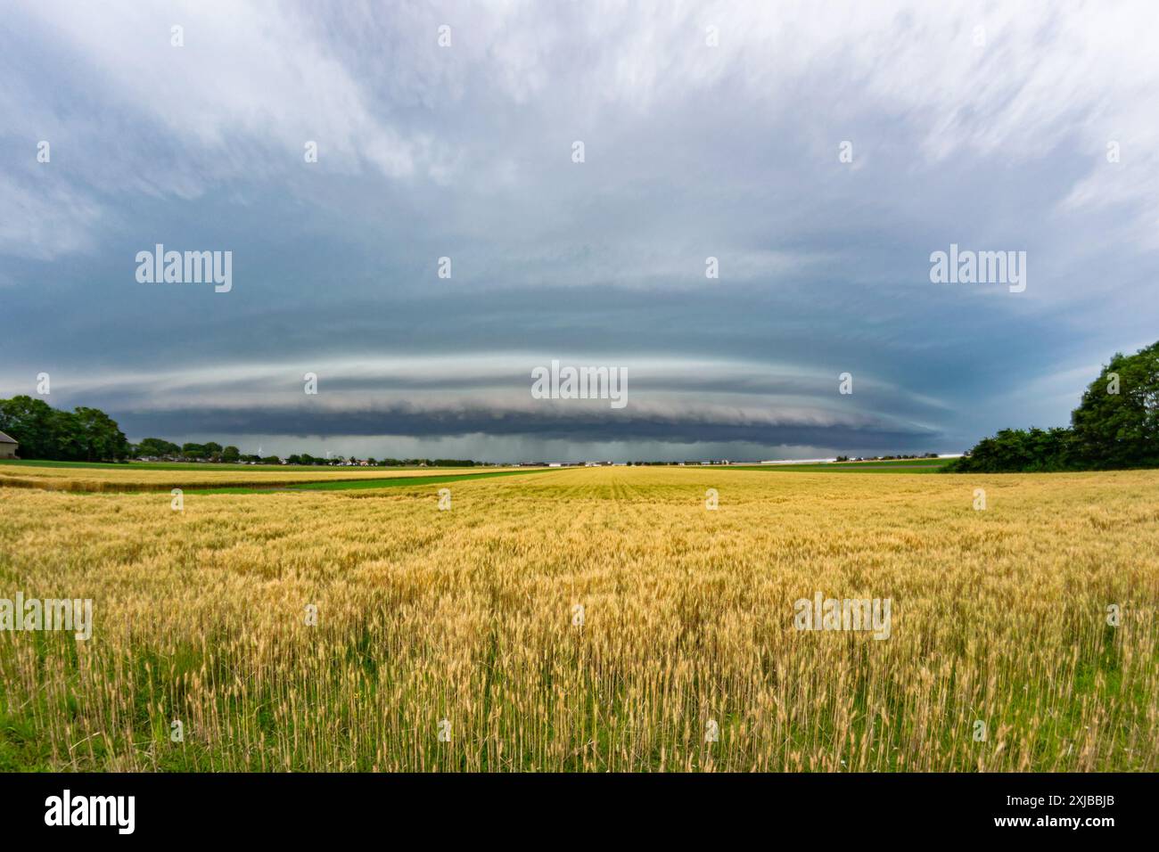 Nuage de plateau menaçant d'un orage violent au-dessus d'un champ de blé sur les plaines Banque D'Images Nuage de plateau menaçant d'un orage violent au-dessus d'un champ de blé sur les plaines Banque D'Images